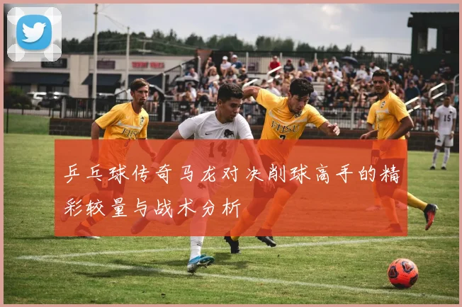 乒乓球传奇马龙对决削球高手的精彩较量与战术分析