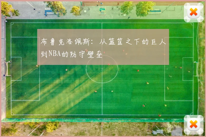 布鲁克洛佩斯：从篮筐之下的巨人到NBA的防守壁垒