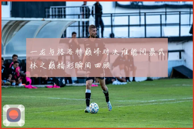 一龙与格洛特巅峰对决谁能问鼎武林之巅精彩瞬间回顾
