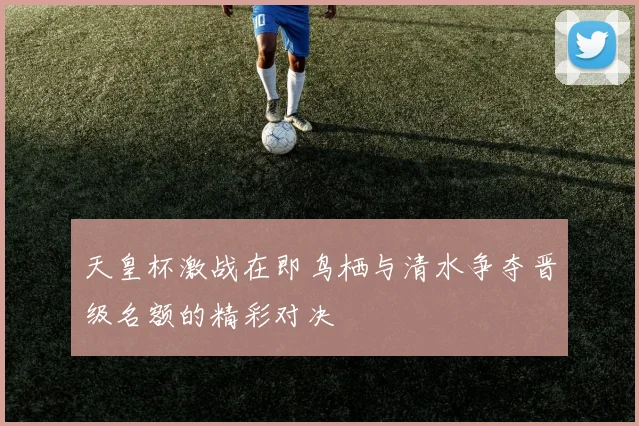 天皇杯激战在即鸟栖与清水争夺晋级名额的精彩对决