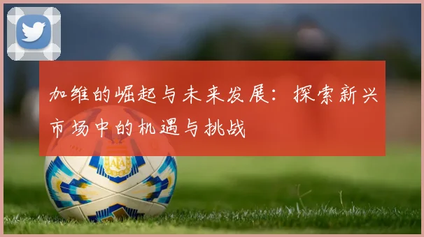 加维的崛起与未来发展：探索新兴市场中的机遇与挑战