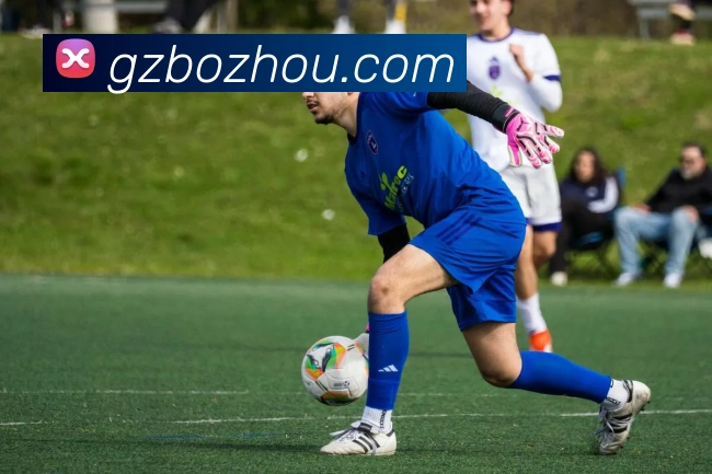 开云体育APP 封面图